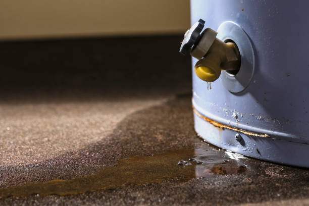 Best 24-hour water damage restoration  in Houghton, MI