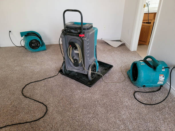 Best Emergency water damage restoration  in Houghton, MI