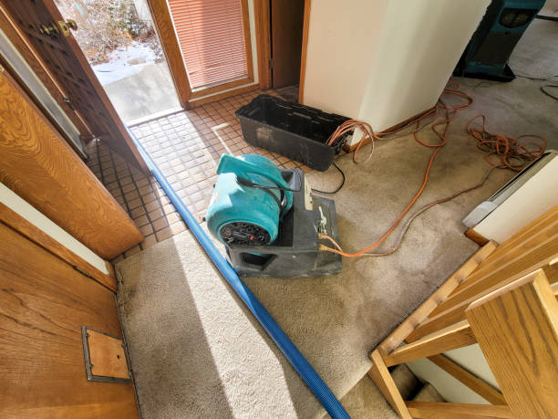 Best Professional water damage repair  in Houghton, MI