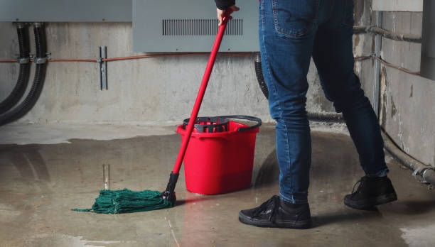 Best Fire Damage Restoration  in Houghton, MI