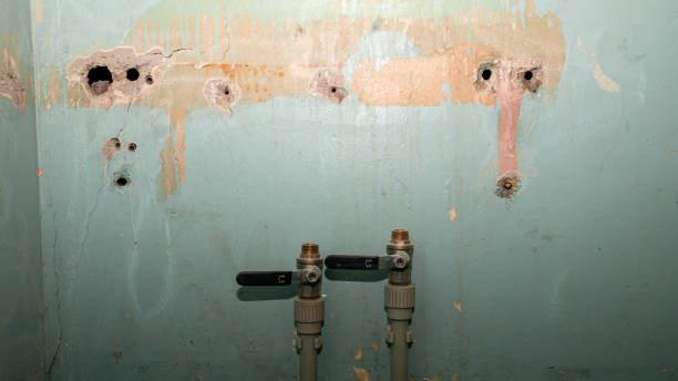 Best Water damage restoration experts  in Houghton, MI
